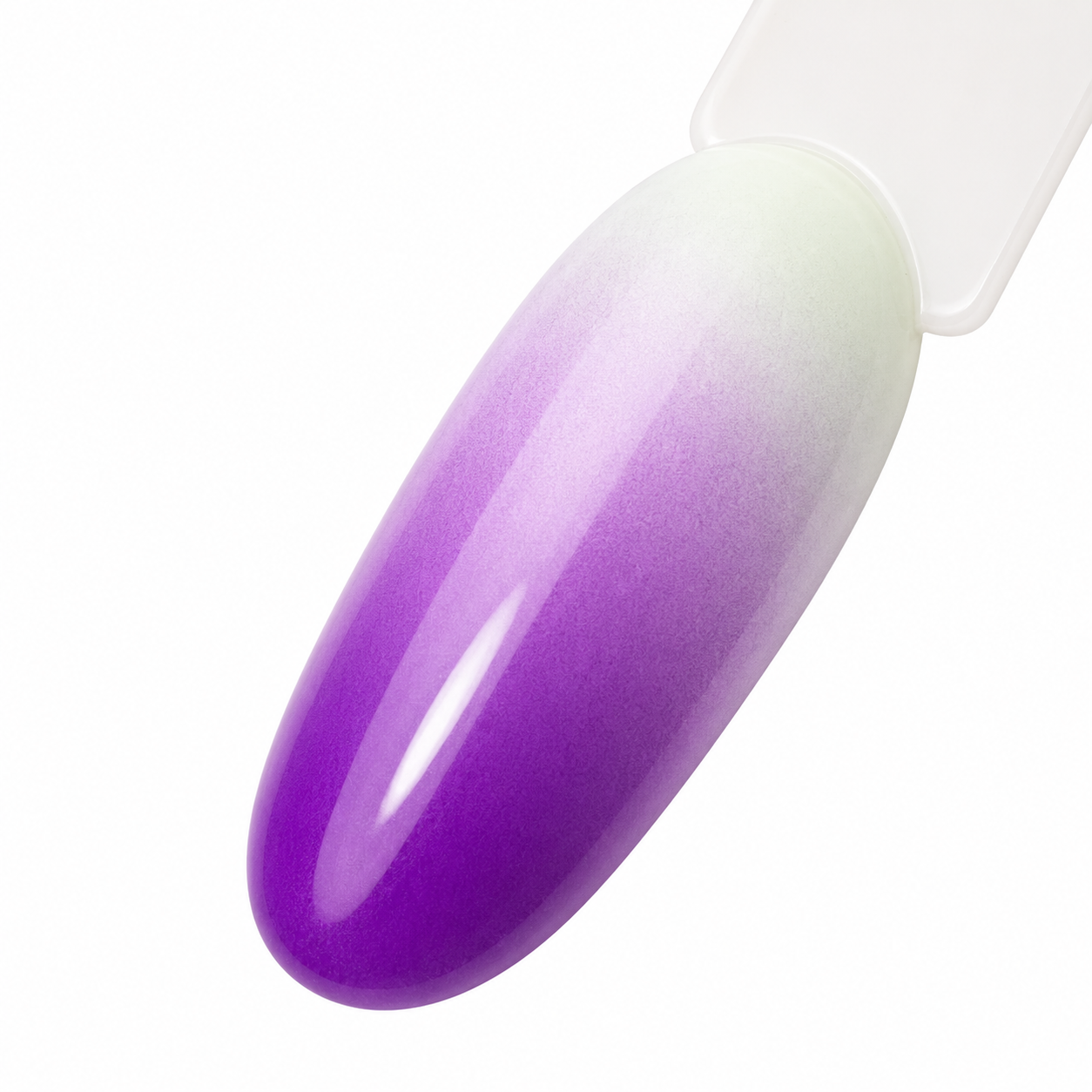 Airbrush Paint – Purple – C56 – 30 ml.