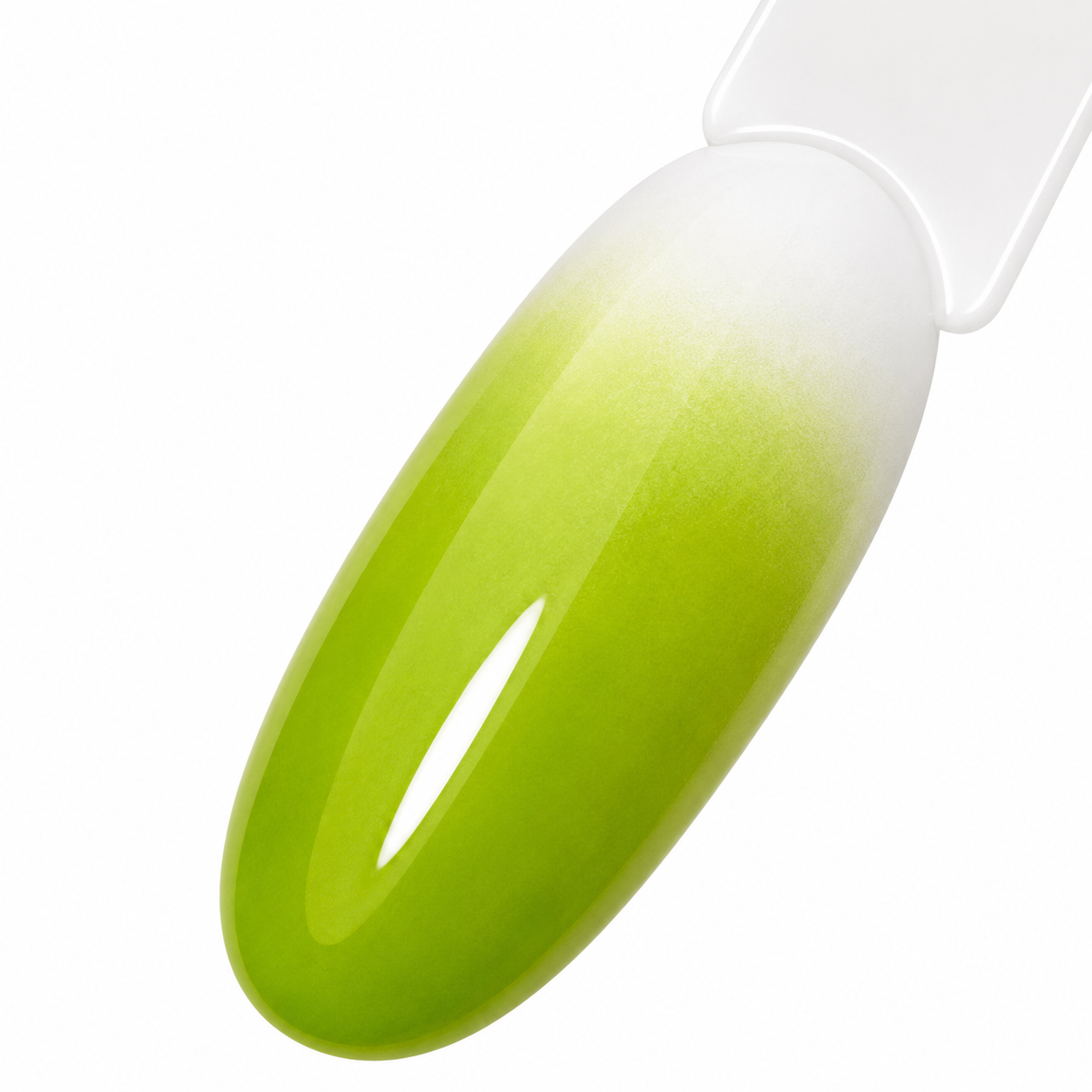 Airbrush Paint – Frog Green – C12 – 30 ml.